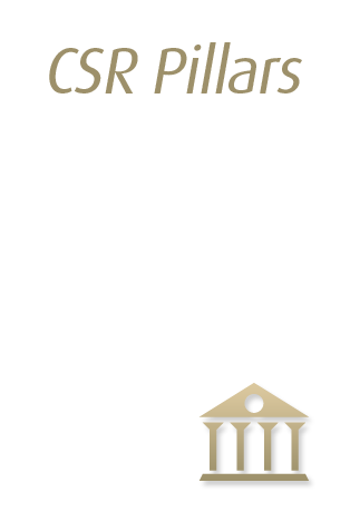 img-csr1